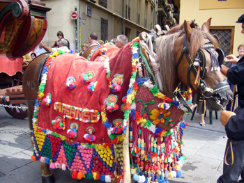 2007 Corpus desfile de les roques (5)